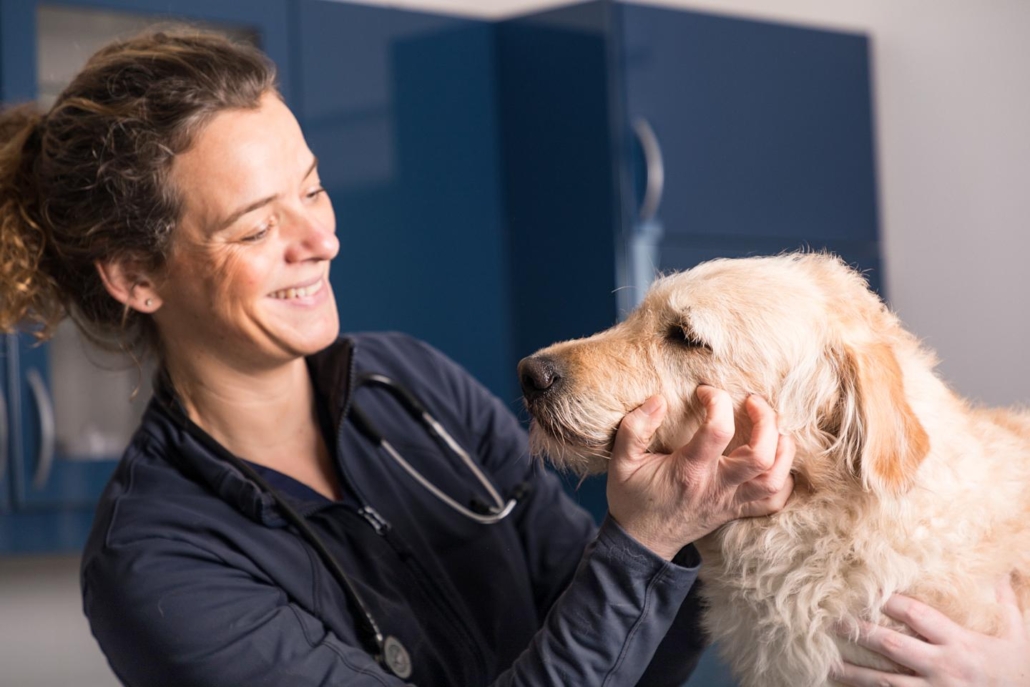Dr. Schneller mit Hund auf Behandlungstisch