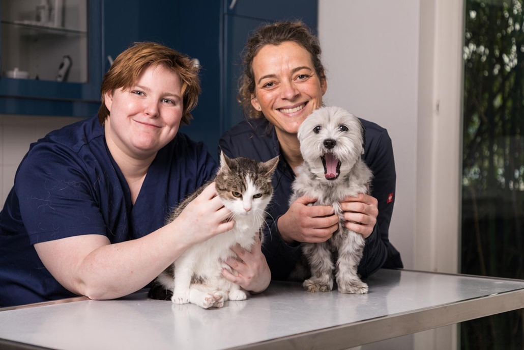 Ärztin, TMFA mit Katze und Hund am Behandlungstisch